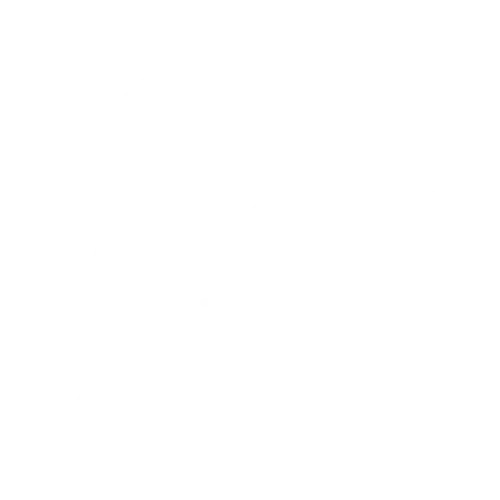 The Revision Room